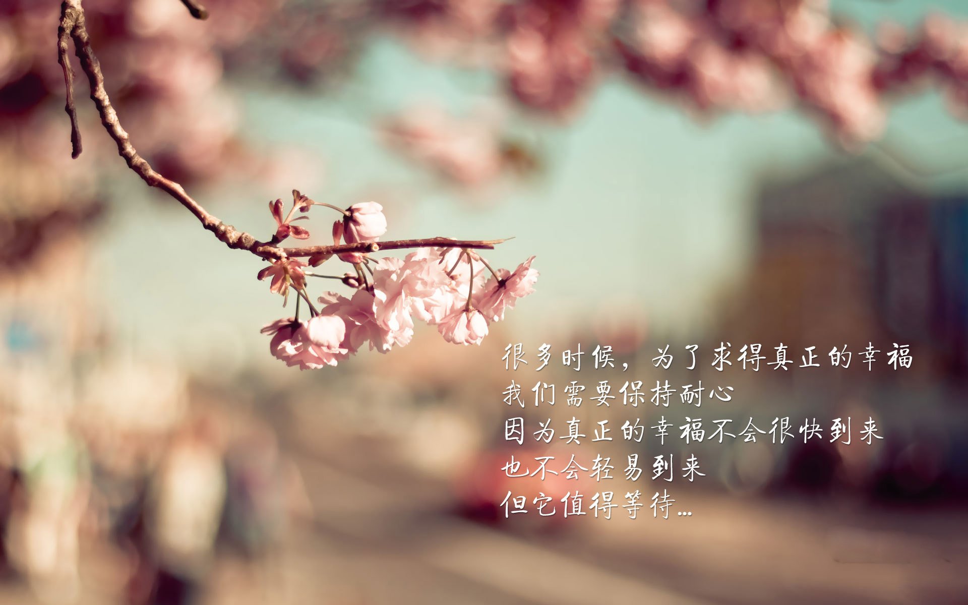 开云在线直播-中国青训“梯队”建设再升级，助力未来国家队选拔，中国 青训
