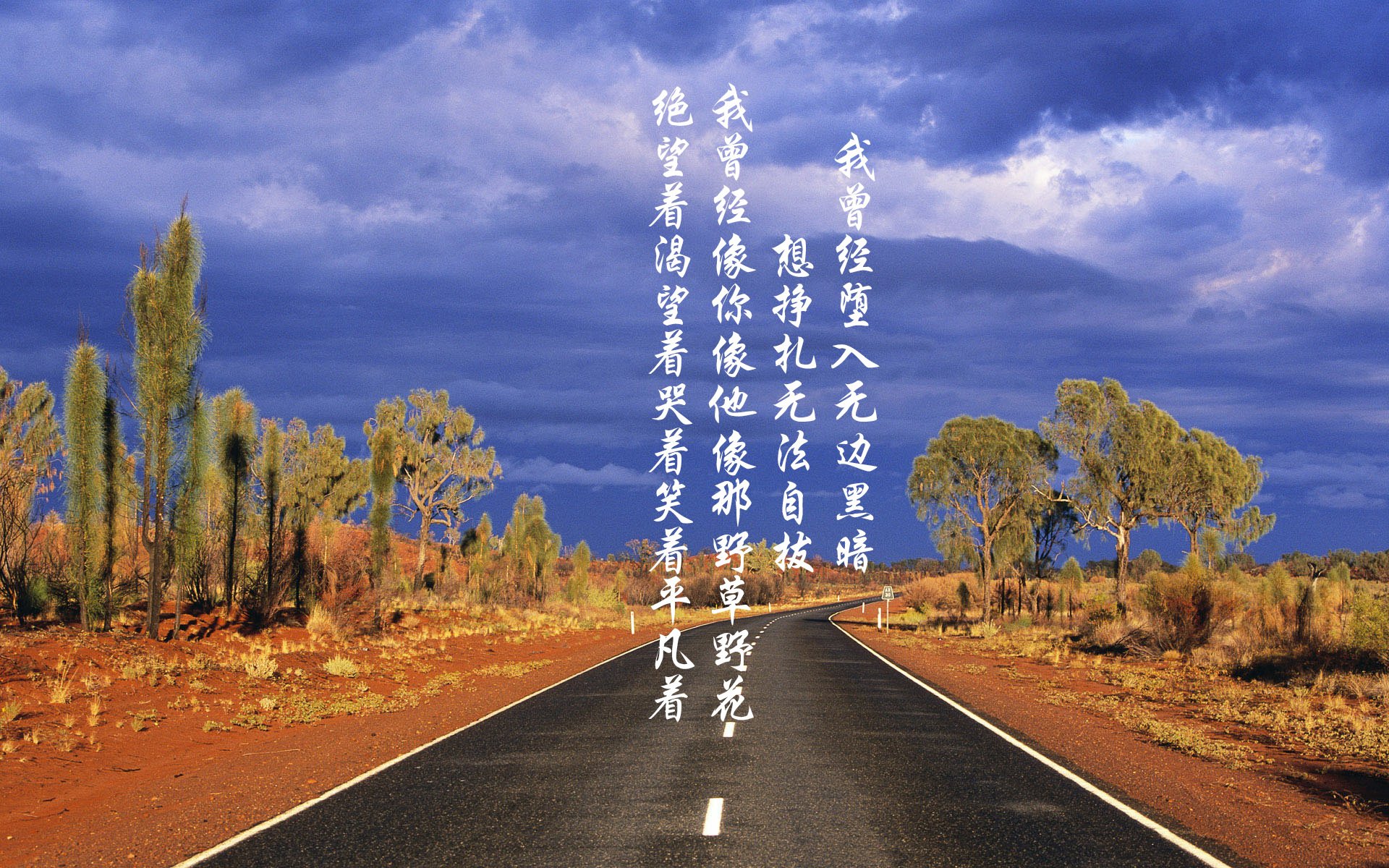 大洋洲篮球明日之星赛事火热进行，谁能脱颖而出？，大洋洲篮球锦标赛