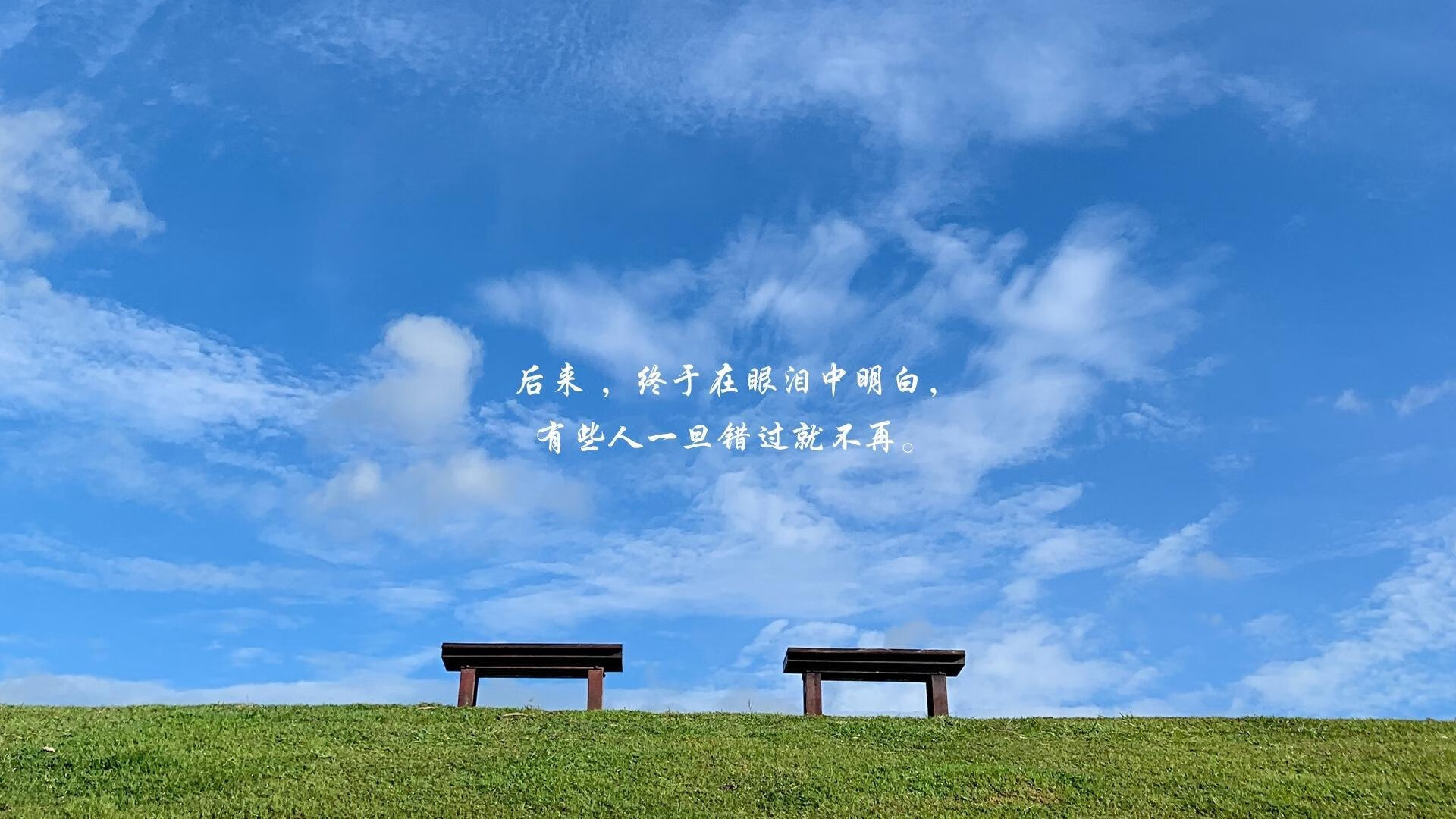 开云入口-德国队在2024年世界杯的关键时刻表现与决策，德国2022世界杯出现了吗