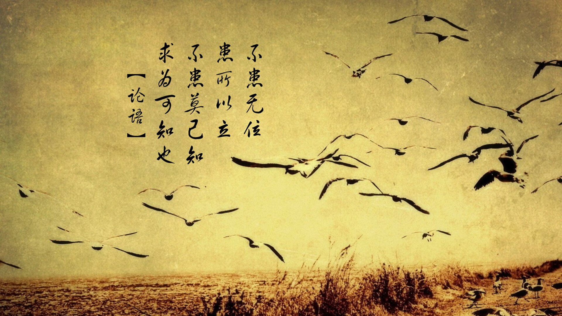雷恩内部串联流畅不断拉开比赛节奏，雷恩队主场