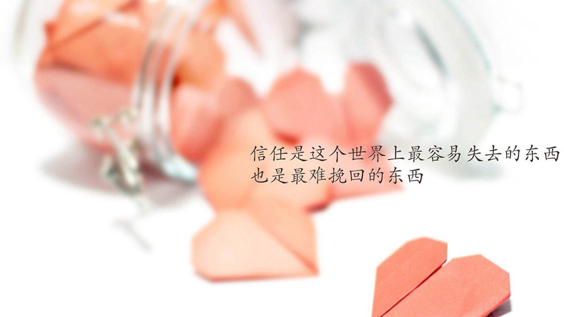 美洲杯激情模样：IT技巧与华丽单兵，美洲杯比赛视频