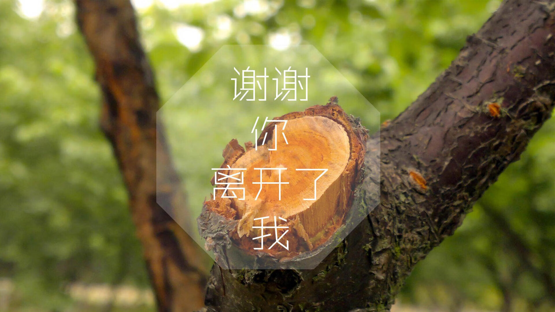 马术跨界合作活动引入城市生活方式，马术产业链
